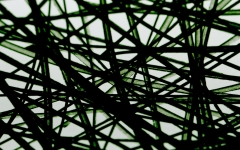 complicated | 2017 - Auf Folie gezeichnet, digital bearbeitet