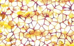 Goodmorning Sun! von 2017 - reine Digitalmalerei