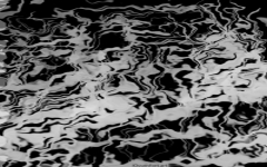 Blacklines! von 2015 - Auf Folie gemalt & digitalisiert