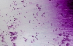 Purplesnow! von 2014 - Auf Leinwand gemalt und digitalisiert