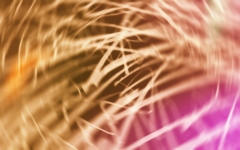 Motionfire! von 2014 - Auf Folie gemalt & digitalisiert