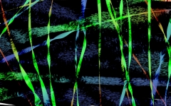 Turnback! von 2014 - eine reine Digitalmalerei