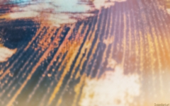 Good morning view! von 2017 - Acrylbild digital bearbeitet