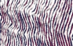 Old stripes! von 2017